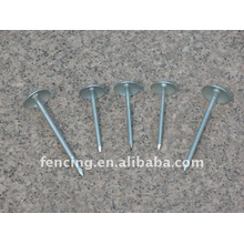 Common iron nails